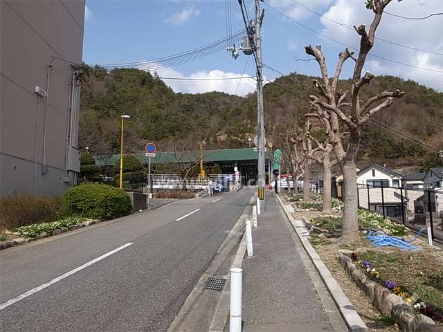 1号棟の東側の道路。周囲を林に囲まれ、自然豊かです。
