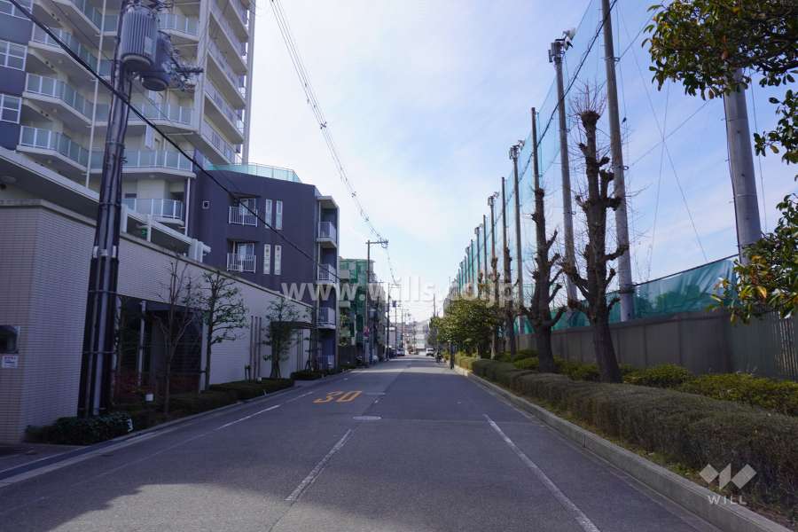 敷地北側の前面道路（東側から）
