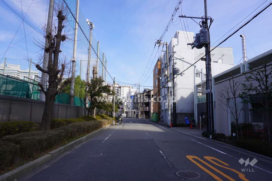 敷地北側の前面道路（西側から）