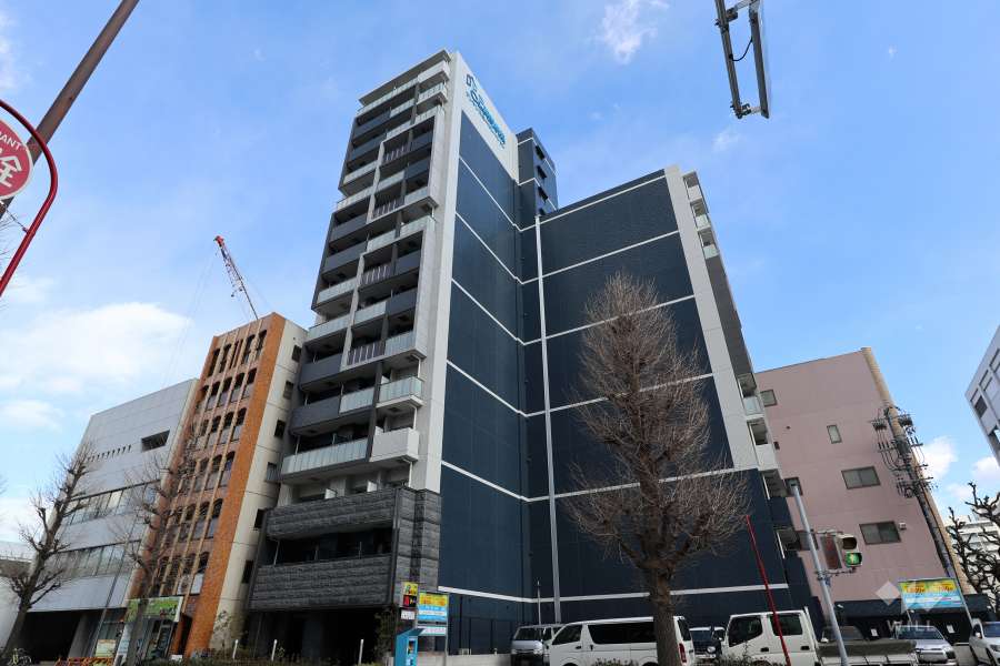 プレサンス丸の内リラティの外観(南西側から）