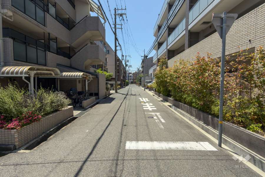 敷地南側の前面道路