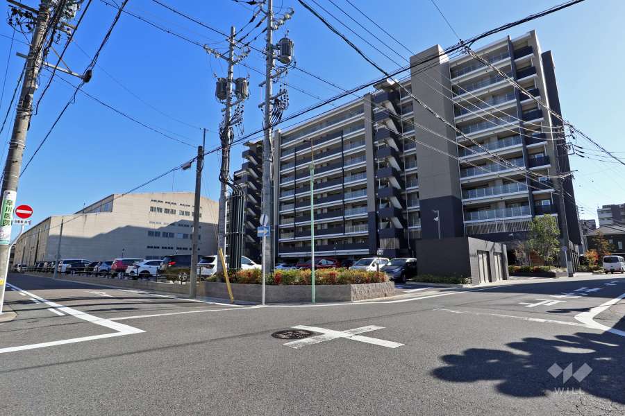 敷地北側の前面道路（北西側から）