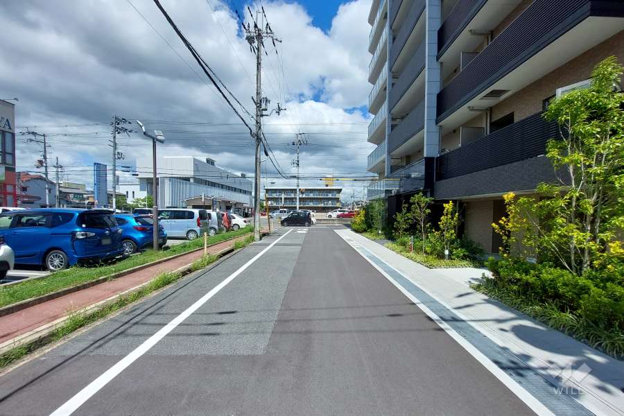 敷地西側の前面道路（南側から）