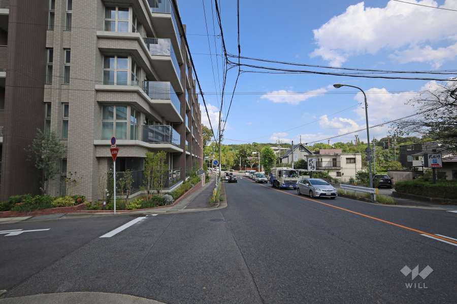 敷地南側の前面道路（西側から）