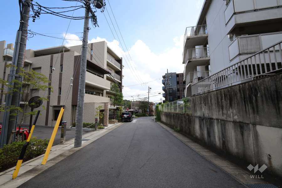 敷地西側の前面道路（北側から）