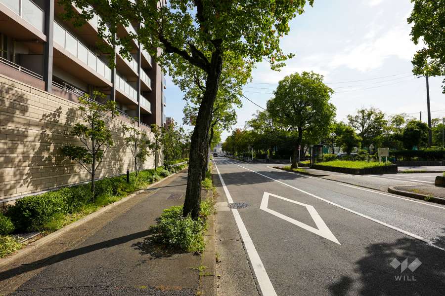 敷地南西側の前面道路