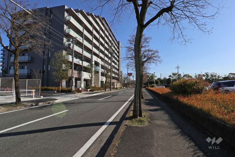 敷地南西側の前面道路