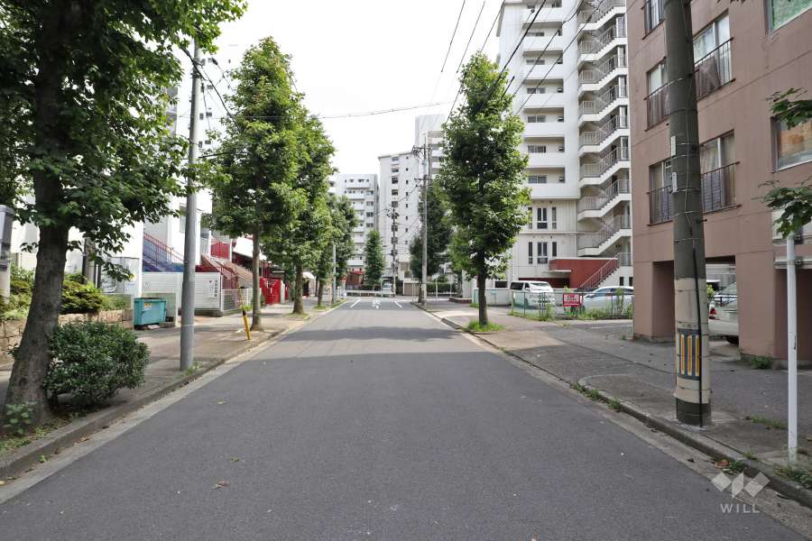 敷地の東側前面道路（北側から）