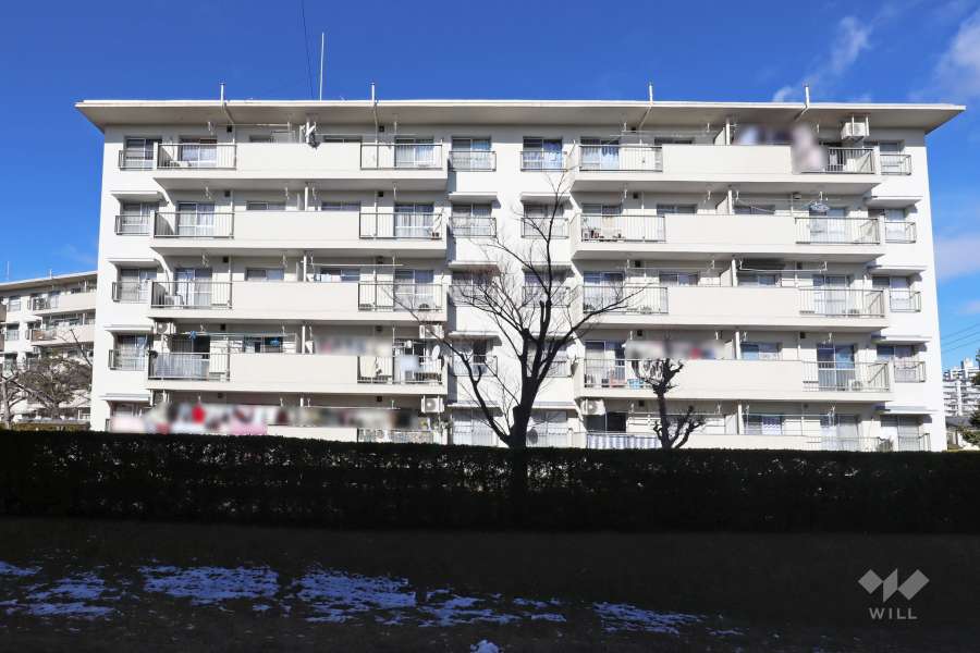 中央台団地221号棟の外観（南側から）