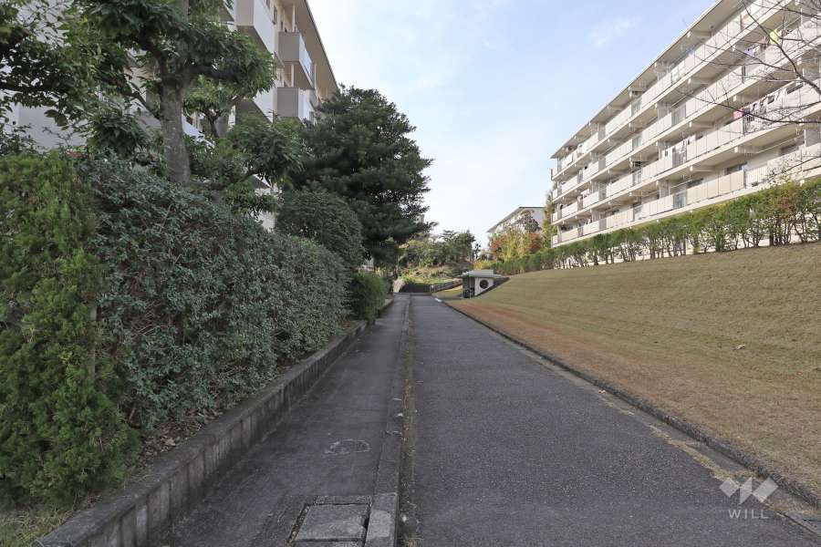 敷地北側の前面前面道路