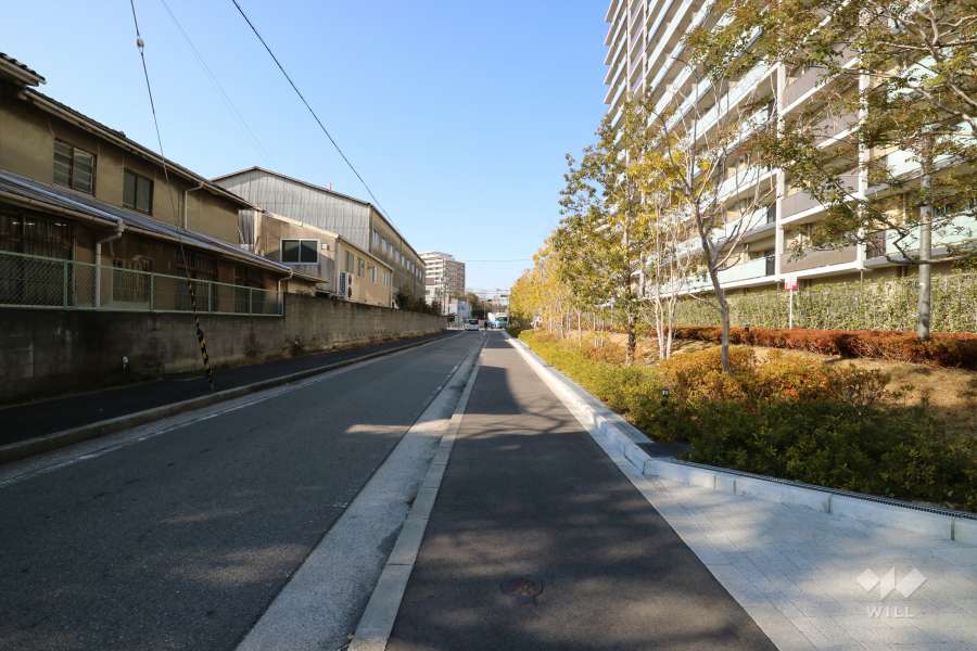敷地南側の前面道路