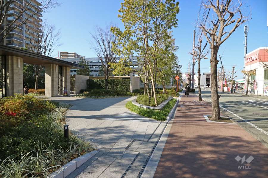 敷地北側の前面道路