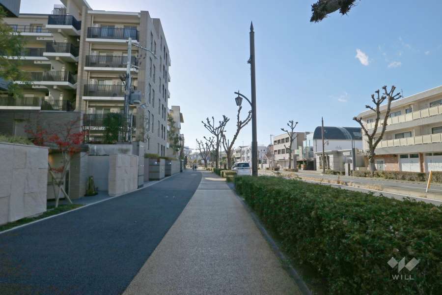 敷地北西側の前面道路（北東側から）