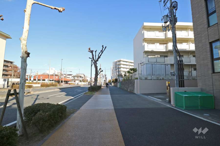 敷地北西側の前面道路（南西側から）
