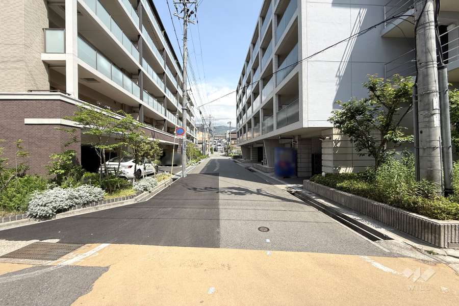 敷地東側の前面道路（南側から）