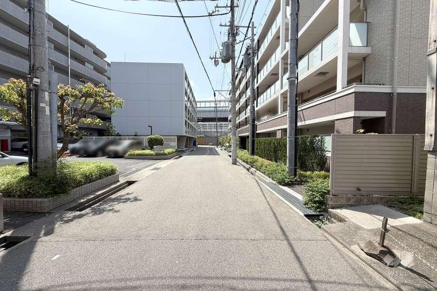 敷地東側の前面道路（北側から）