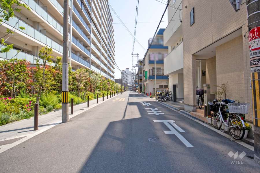 敷地南側の前面道路（西側から）