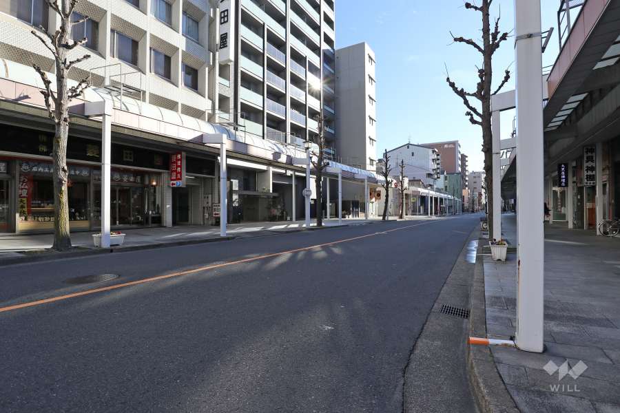 敷地西側の前面道路