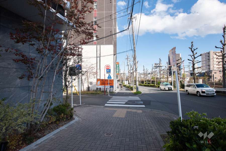 敷地南側の前面道路（西側から）