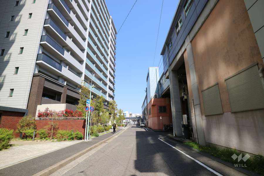 敷地の南側前面道路（西側から）