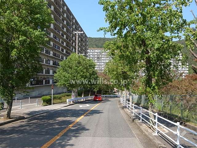 敷地南東側の前面道路。街路樹のきれいな通りです。