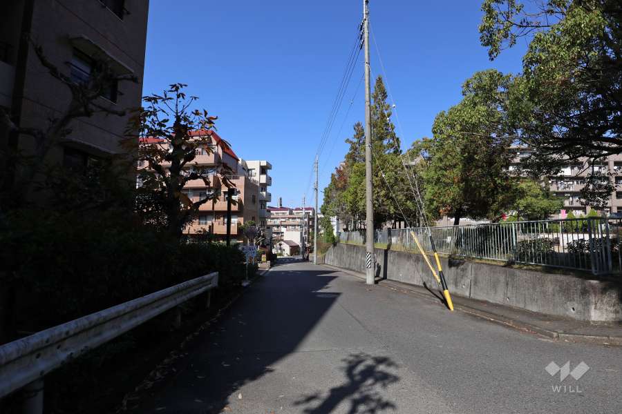 敷地西側の前面道路（南側から）