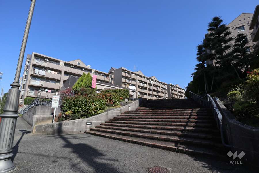 敷地入り口（西側）