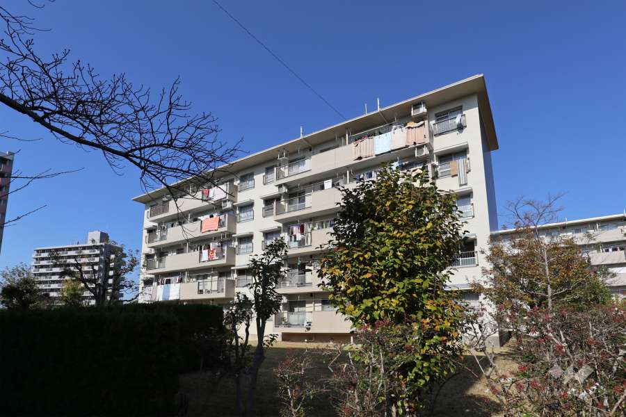 中央台団地220号棟の外観（南東側から）