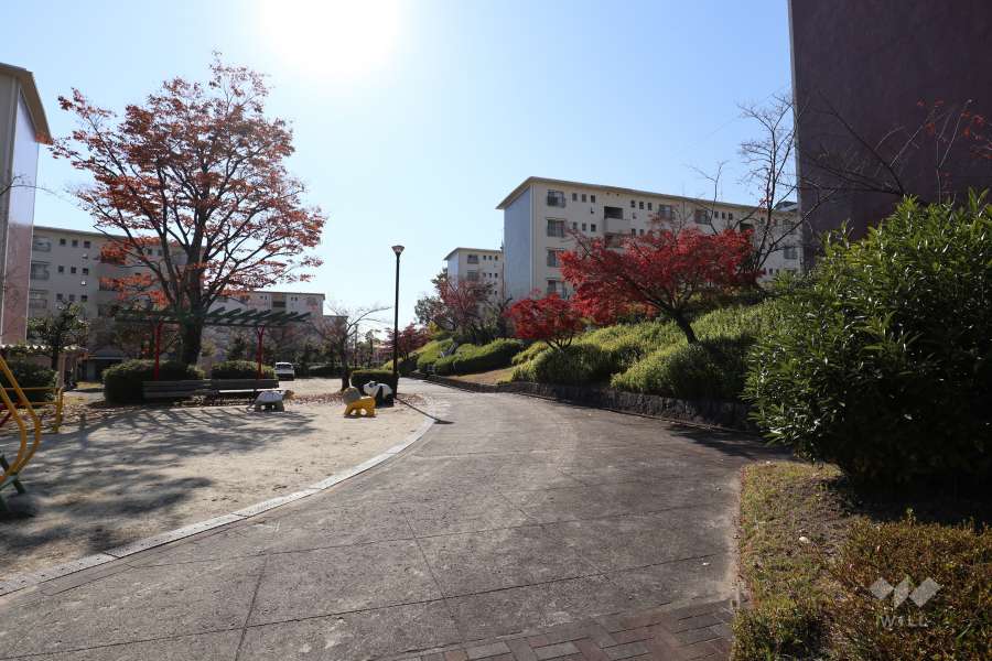 敷地内東側の通路（北側から）