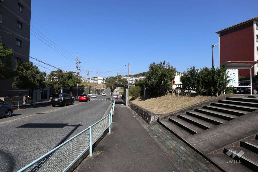 敷地西側の前面道路（南側から）