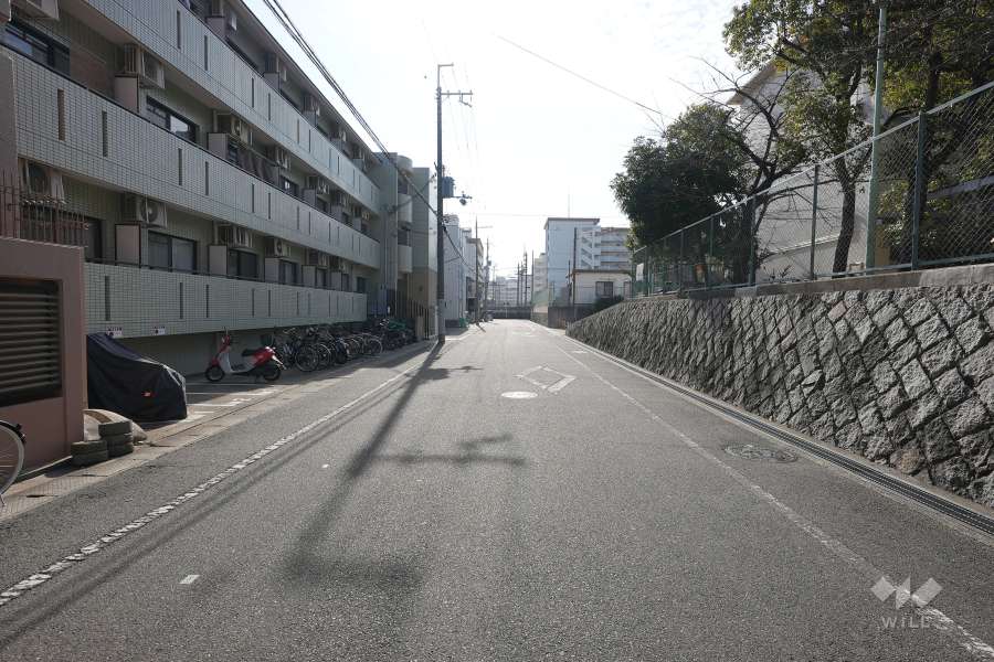 敷地西側の前面道路（北側から）