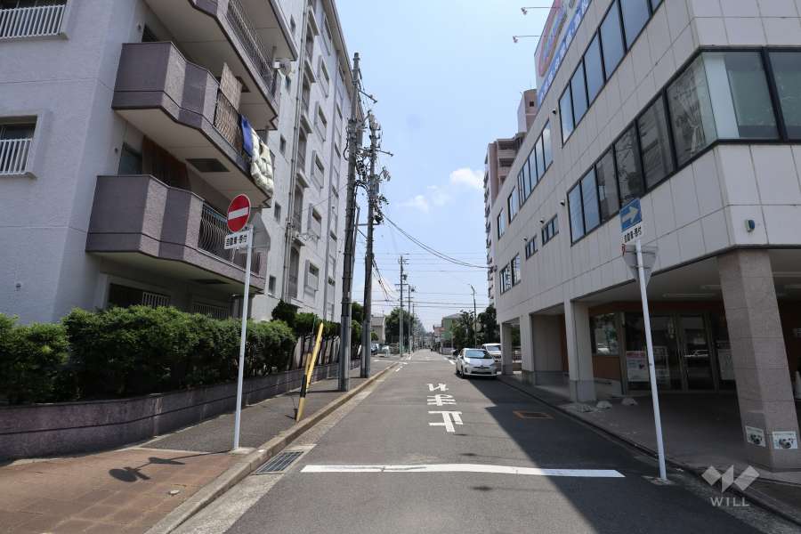敷地西側の前面道路（北側から）