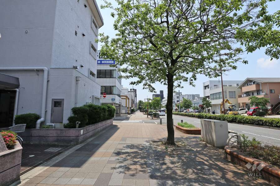 敷地北側の前面道路（東側から）