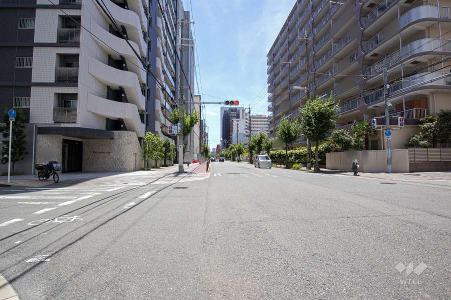 敷地西側の前面道路（北側から）