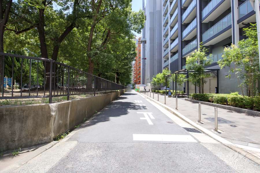 敷地東側の前面道路（北側から）