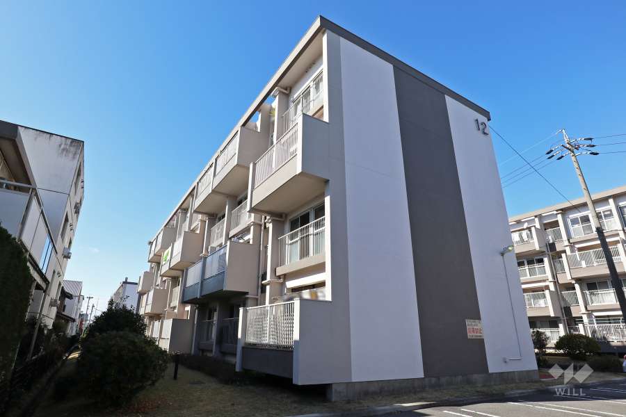 天白第一住宅12号棟の外観（南東側から）