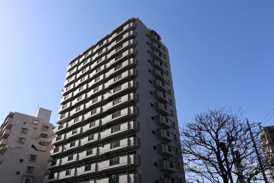 シーアイマンション三郷壱番館の外観(北東側から）
