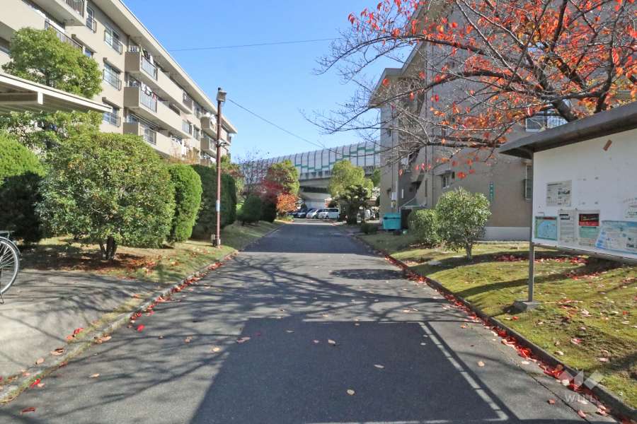 敷地北側の前面道路