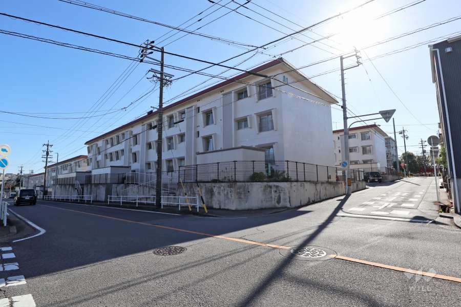 敷地北側の前面道路（西側から）