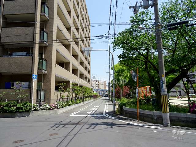 敷地南側の前面道路。道を挟んで『穂波公園』があります。