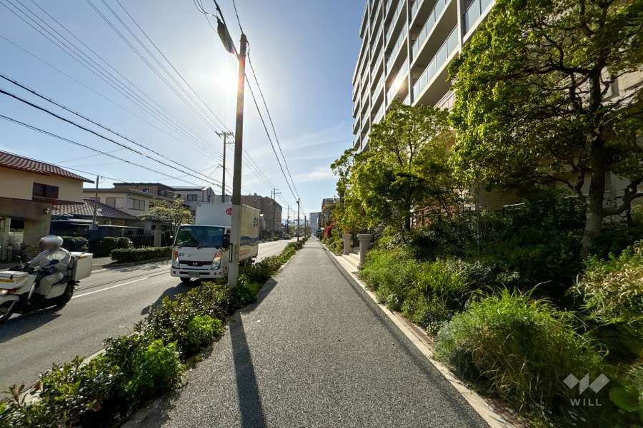 敷地南西側の前面道路