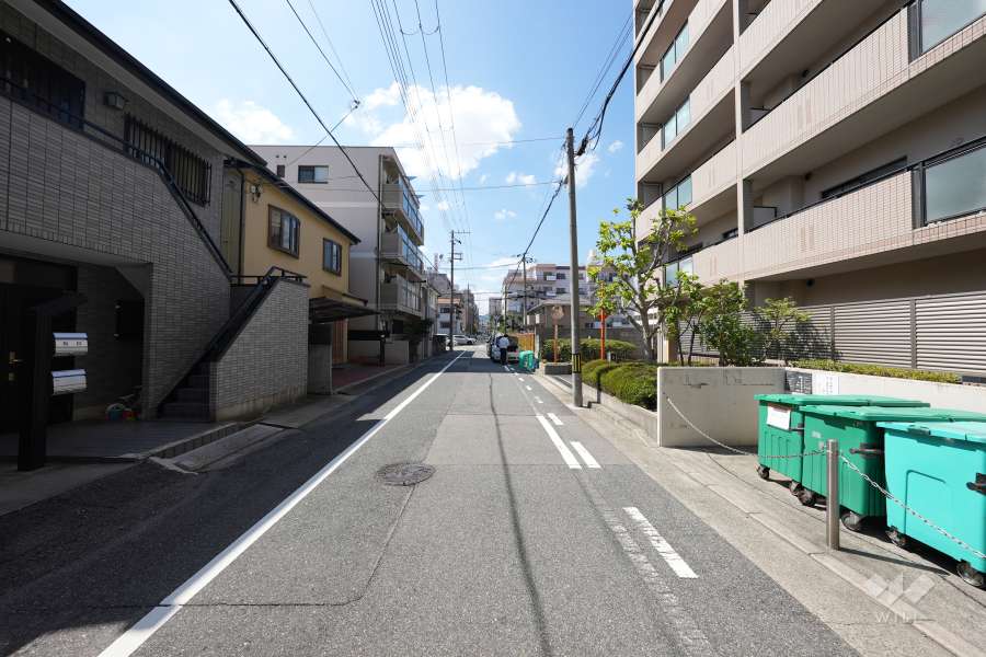 敷地南側の前面道路（東側から）