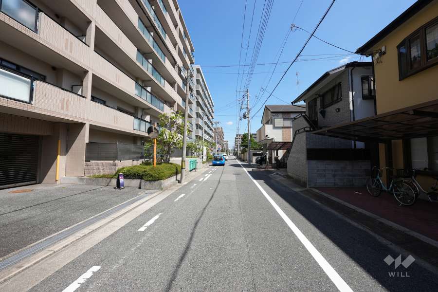 敷地南側の前面道路（西側から）