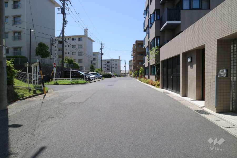 敷地東側の前面道路（北側から）