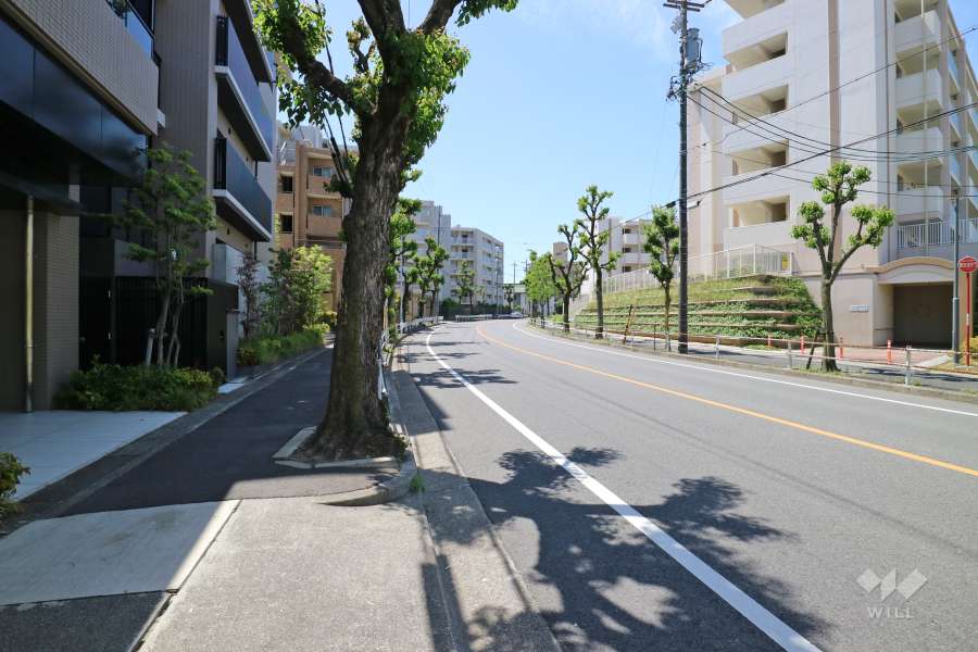 敷地西側の前面道路（北側から）