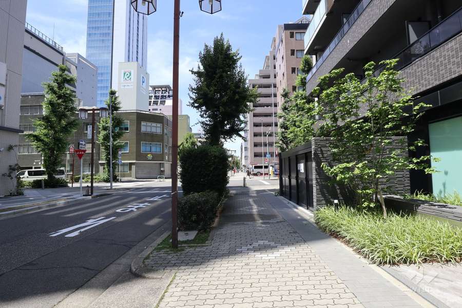 敷地西側の前面道路（南側から）
