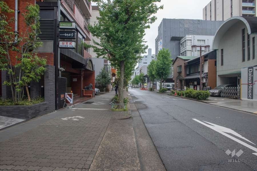 敷地西側の前面道路（北側から）