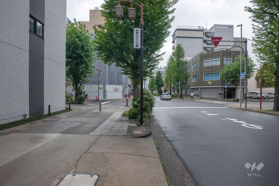 敷地北側の前面道路（東側から）