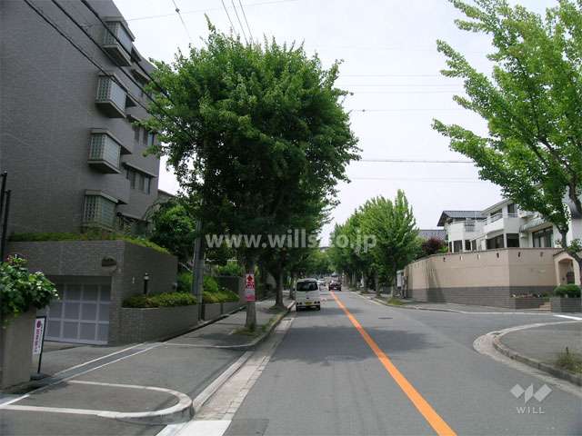 敷地東側の前面道路