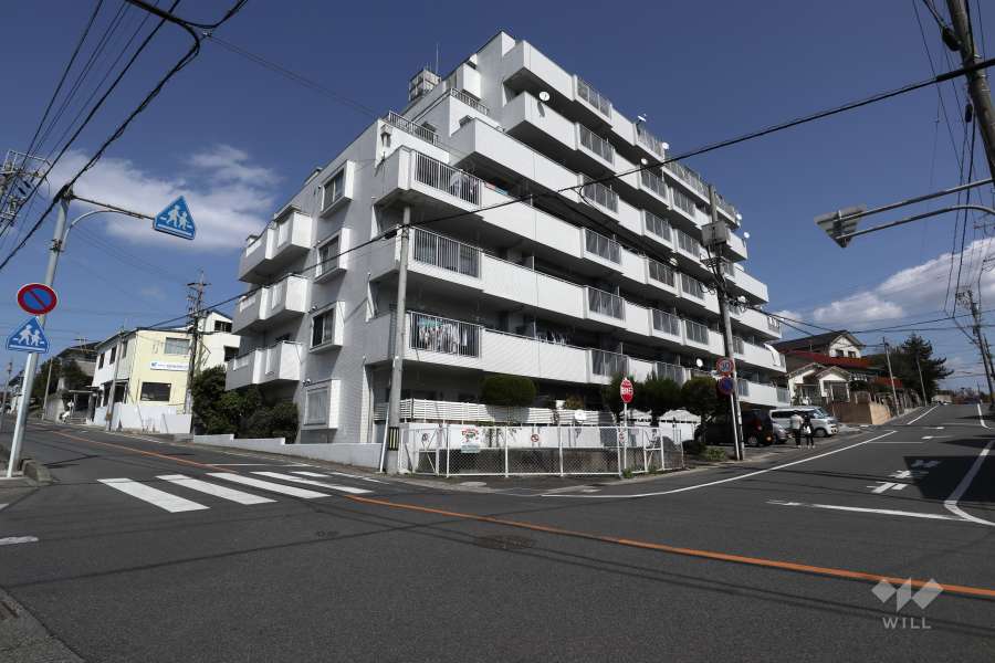 敷地南側と西側の前面道路（南西側から）